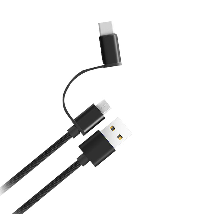 2 in 1 Cable (Micro/Type C)